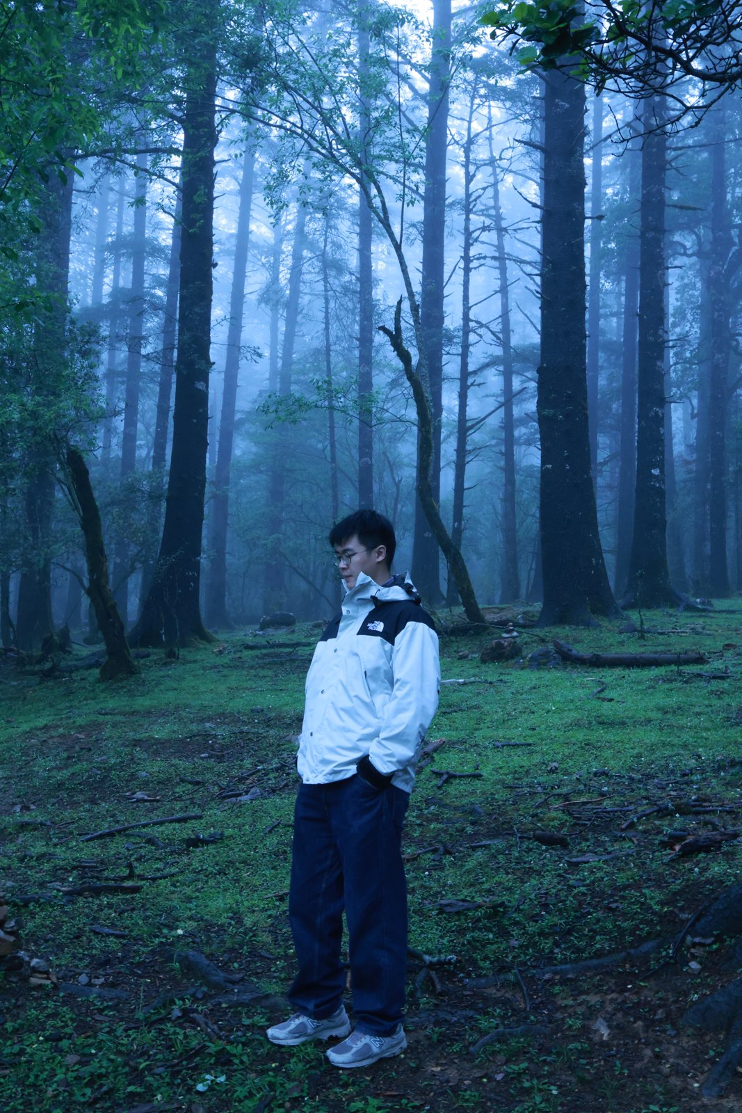 Joe Fu standing in a misty forest